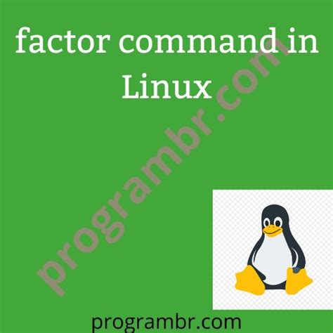 factom linux|factor (Unix) .
